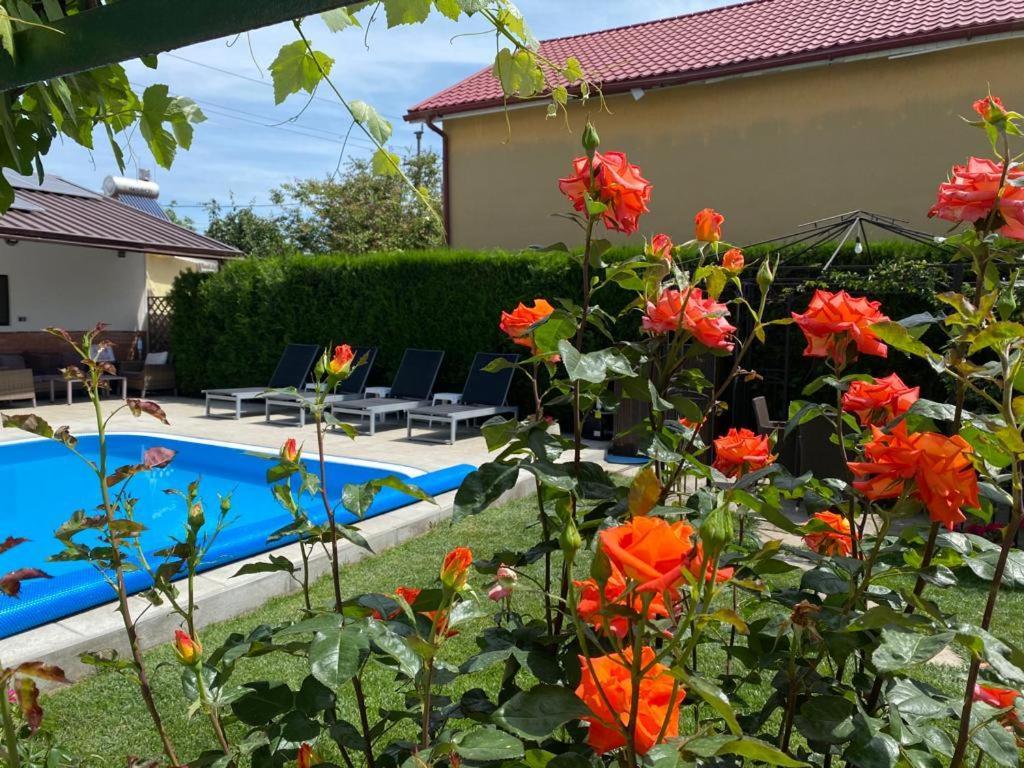 Casa Mateiana Hotel เอโฟริเอนอร์ด ภายนอก รูปภาพ
